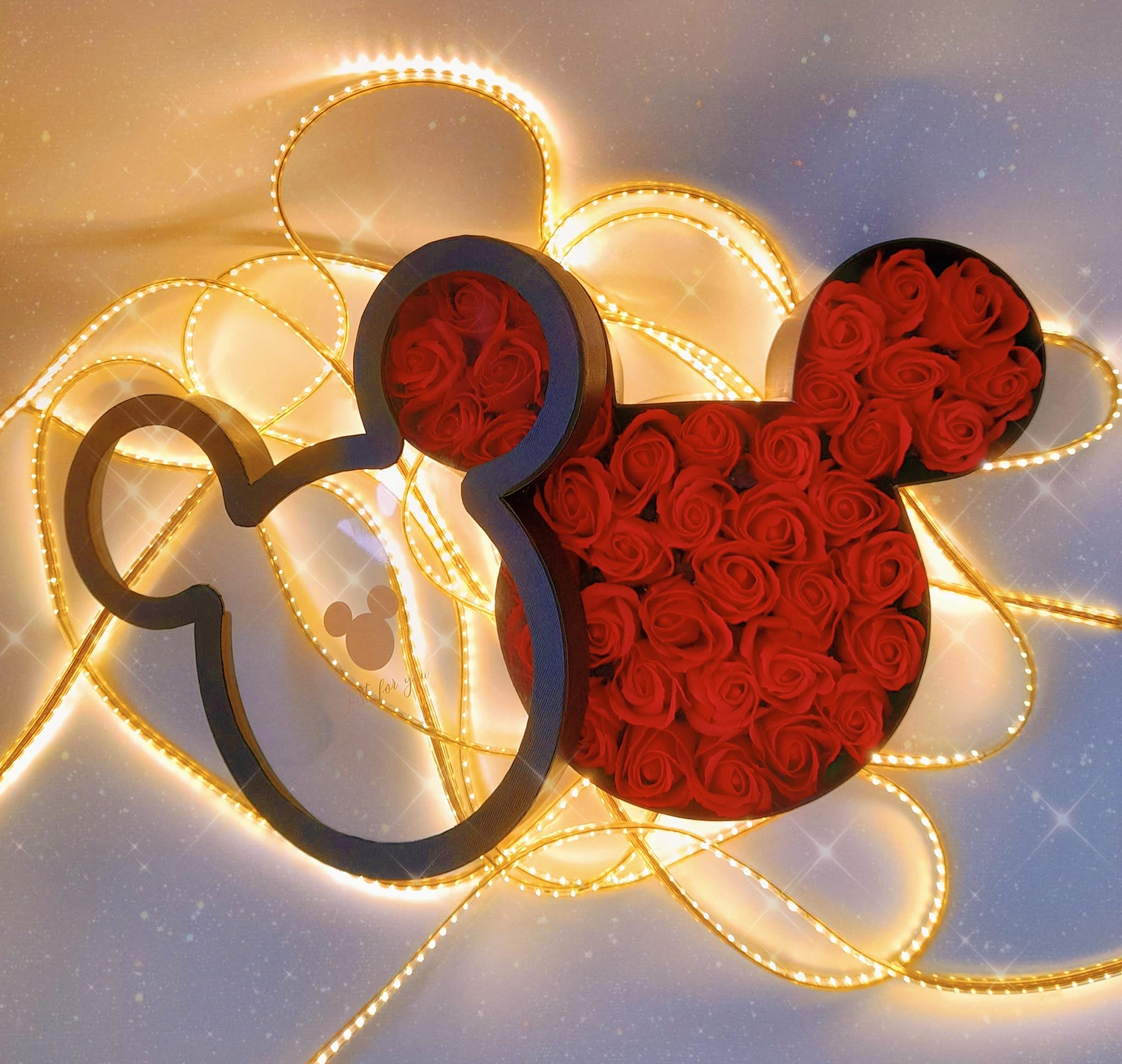 Mickey Mouse